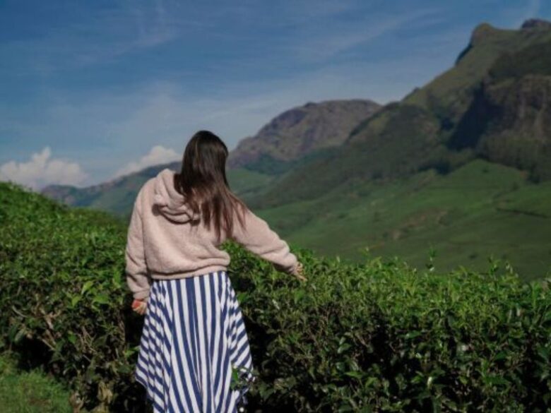 tea estate