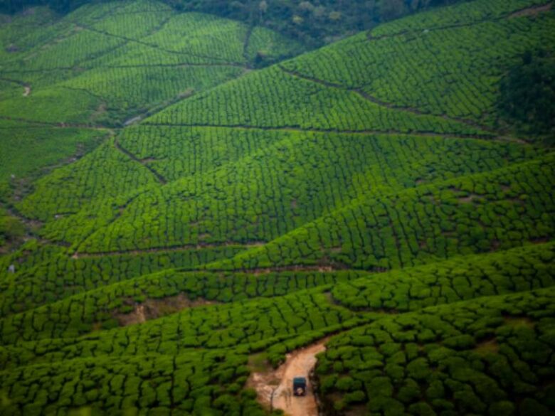 Kolukkumalai Tea Factory in Munnar