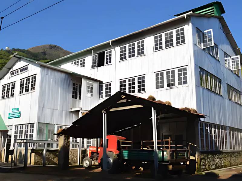Discover Kolukkumalai Tea Factory – Discover the World’s Highest Organic Tea Estate