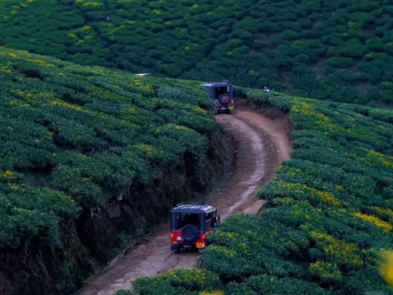 Explore Kolukkumalai Tea Factory in Munnar