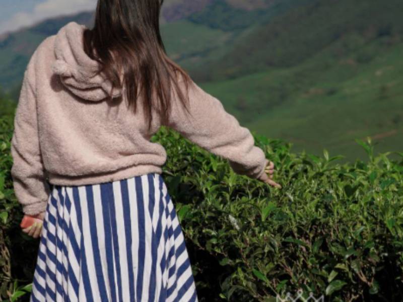 Tata Tea Museum Munnar