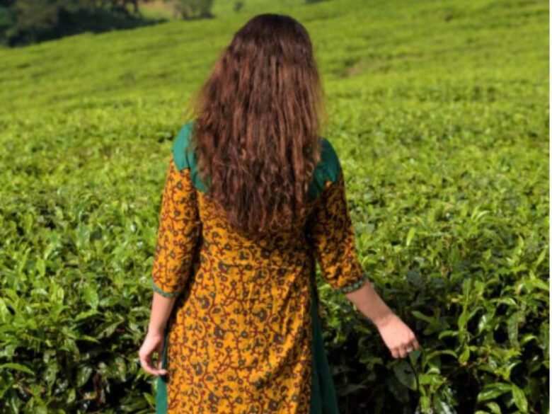 Discover Tata Tea Museum in Munnar with Sholacrown for Perfect trip