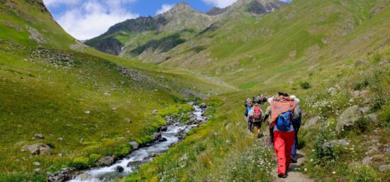 Explore Meesapulimala Trekking in Kerala