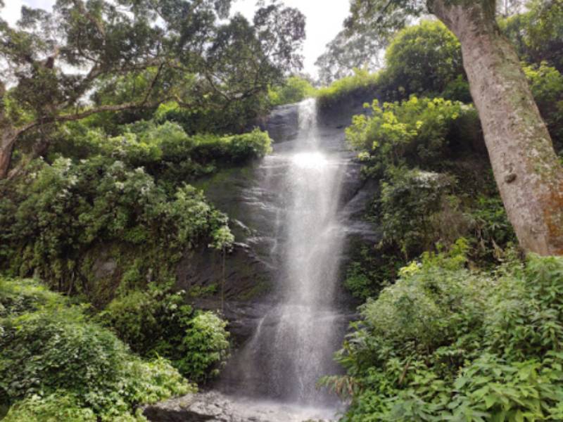 Mathikettan Shola National Park - Famous In Kerala