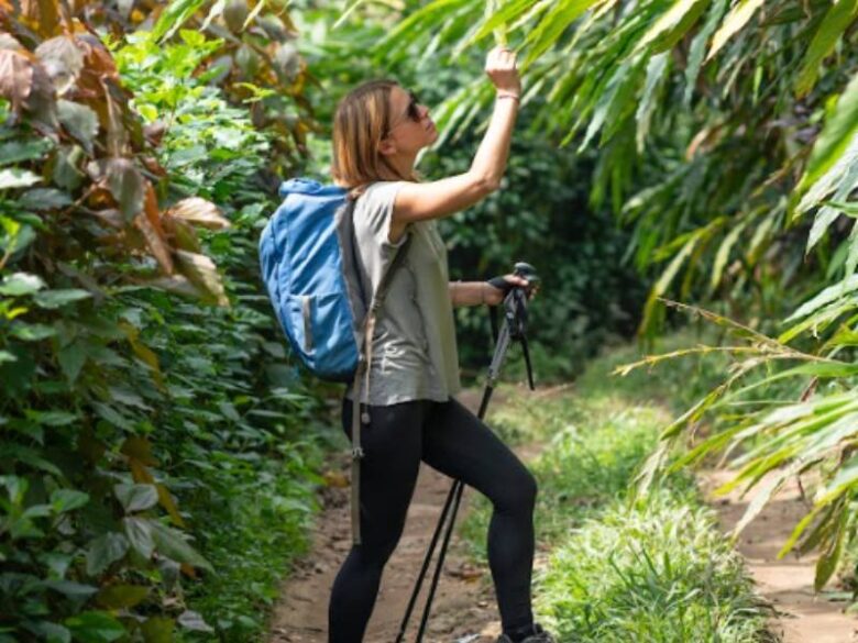 Cardamom Farm Visit 5 5 6