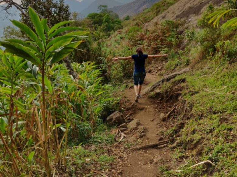 Cardamom Farm Visit 4 6 5
