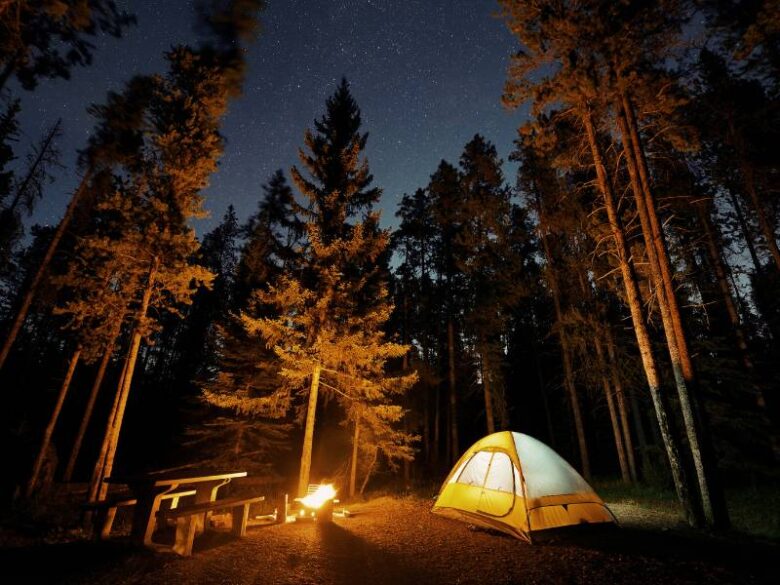 Explore Mathikettan Shola National Park Trek with Sholacrown