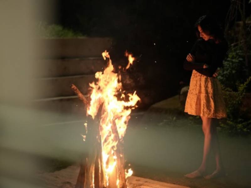 Explore Private Candlelight Dinner in Munnar with Shola Crown and campfire