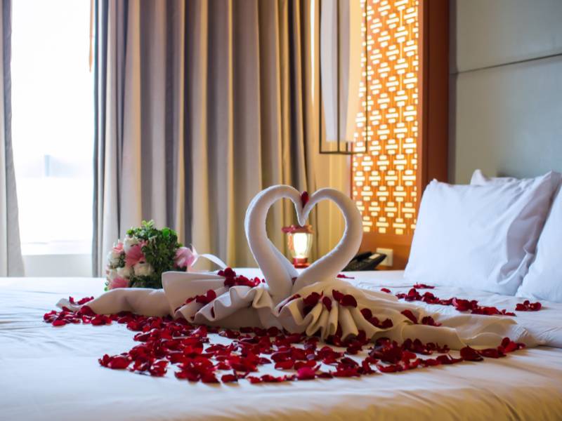Best Honeymoon resort Munnar Shola Crown 2 Explore Honeymoon Resort Munnar
