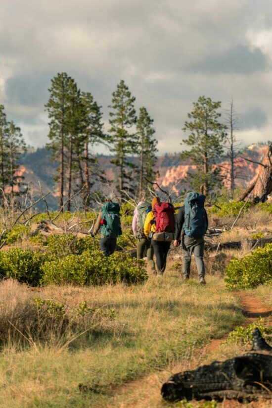 Explore Mathikettan Shola National Park Trek