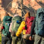 Mathikettan Shola Trek trail near Shola Crown Munnar