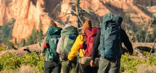 Mathikettan Shola Trek trail near Shola Crown Munnar