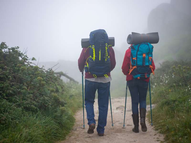 Explore Mathikettan Shola Trek Munnar