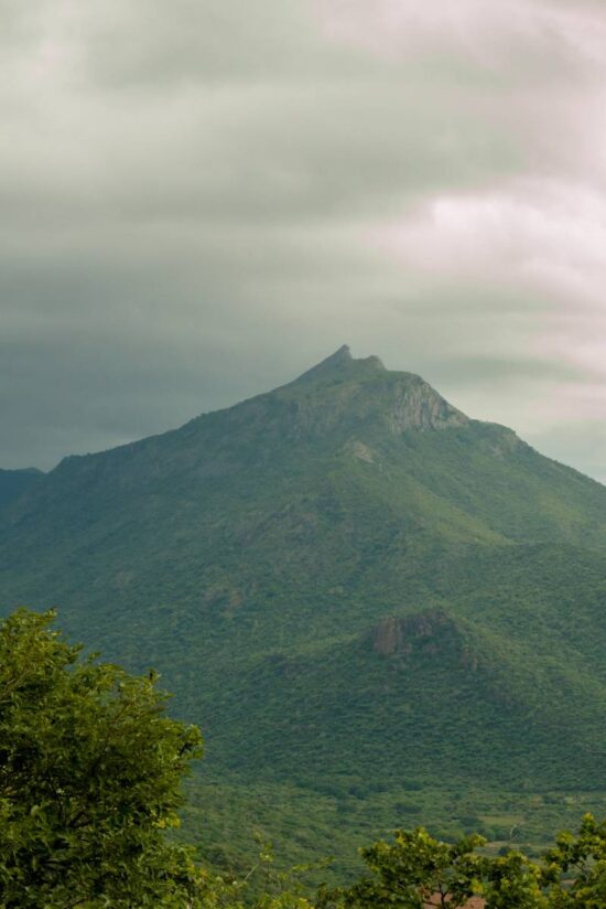 Meghamalai Hills a Hidden Paradise from Shola Crown Resort