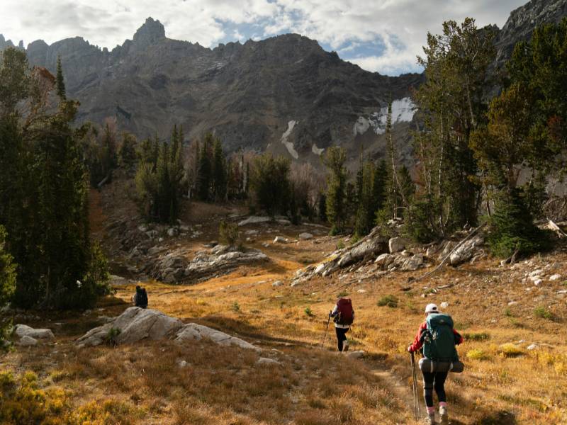Forest view resort near Mathikettan Shola National Park with valley and mist-clad hills.