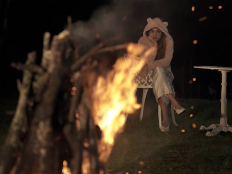 Explore Campfire and private dinner with Nature Resort Near Mathikettan Shola - Shola Crown