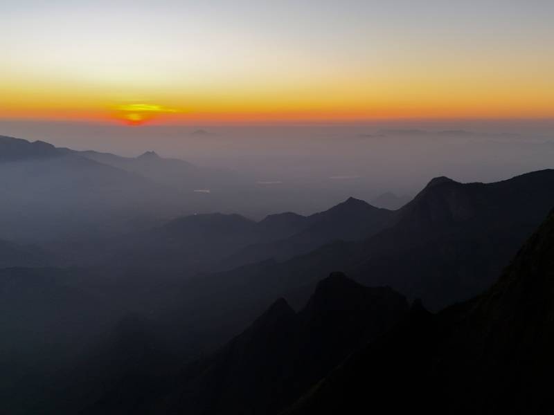 Kerala Munnar forest trekking