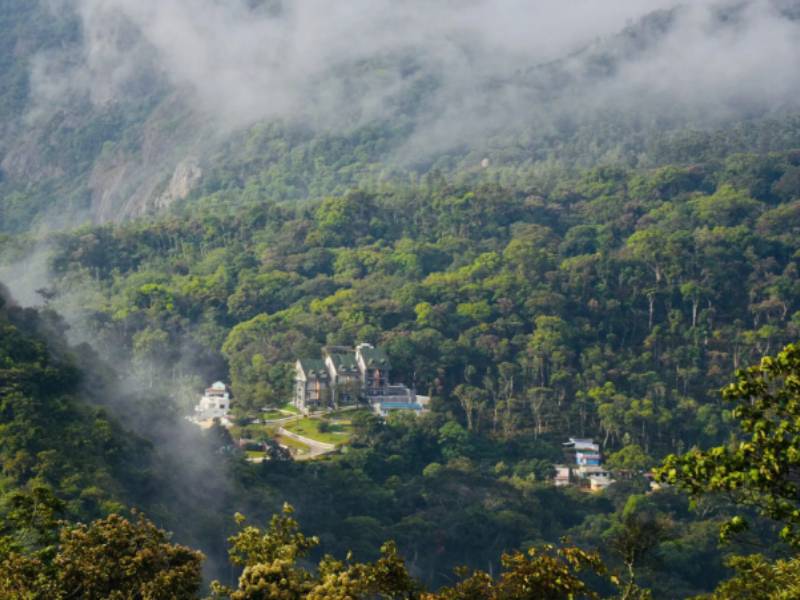 omantic stay in Munnar at Shola Crown surrounded by forest views