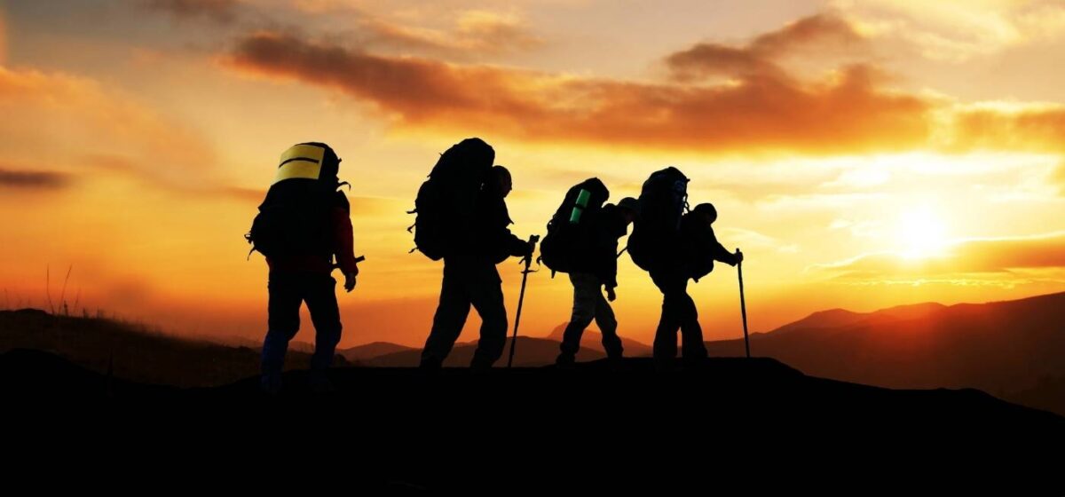 Munnar forest trekking 2 Explore Shola Crown Resort for Munnar Forest Trekking